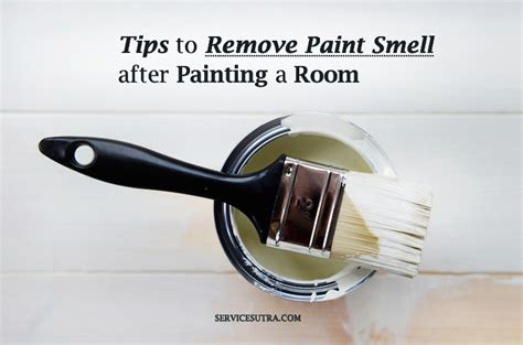 how long to air out room after painting how long does it take for the smell of paint to dissipate