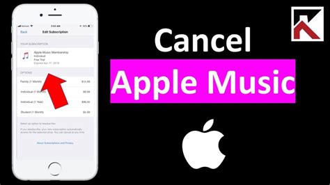 If You Cancel Apple Music, Do You Lose Your Downloads? A Detailed Exploration